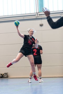 Bild 115 - F HSG Kremperheide/Muensterdorf - Slesvig IF 2 : Ergebnis: 30:26